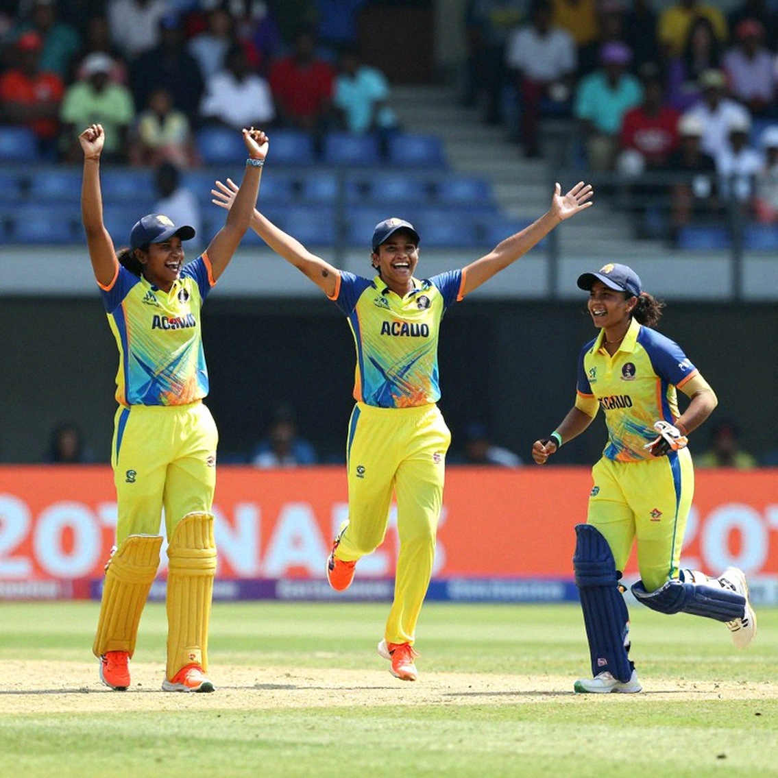 Pulse in an Empty Ledger: The Unwritten Truth of Cricket Analysis